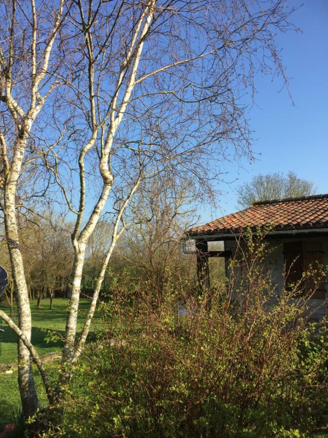 Gite Des Chouettes Muron Exterior foto